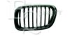 EQUAL QUALITY G0147 Radiator Grille